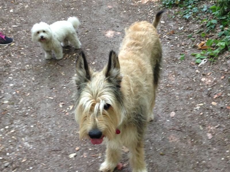 ADarius 11 Jahre klein