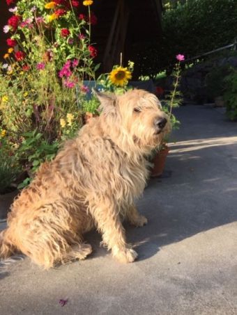 Aaron 11 Jahre klein