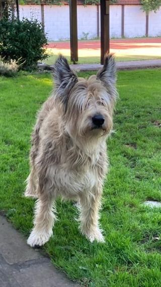 Aiyana 13. Geburtstag