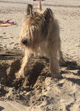 Antonie Filou bei der Arbeit