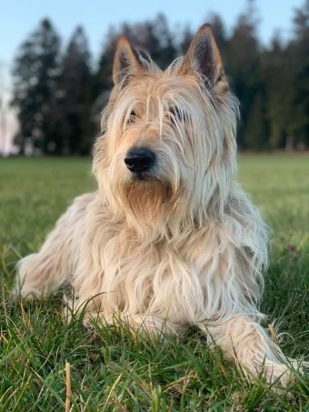 Ashanti 03092019 klein