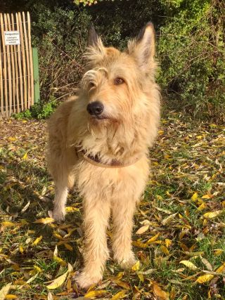 Bacue Fynn 11 Jahre klein