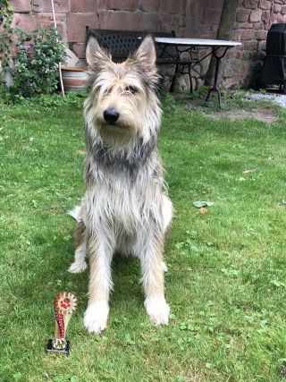 Bente Ludwigshafen 08 2021 klein