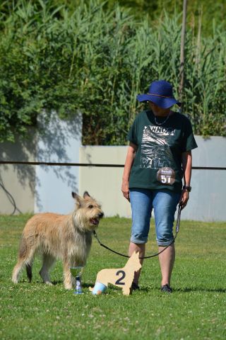 Bente gernsheim 2022