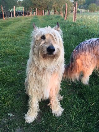 Bijou 11 Jahre klein