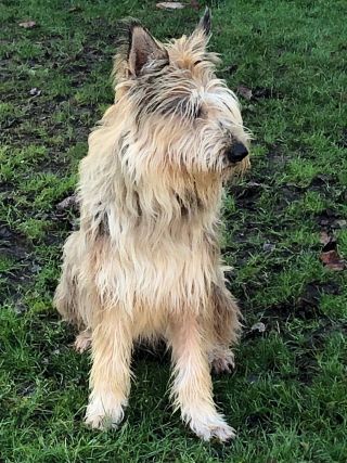 Caline 9 Jahre klein