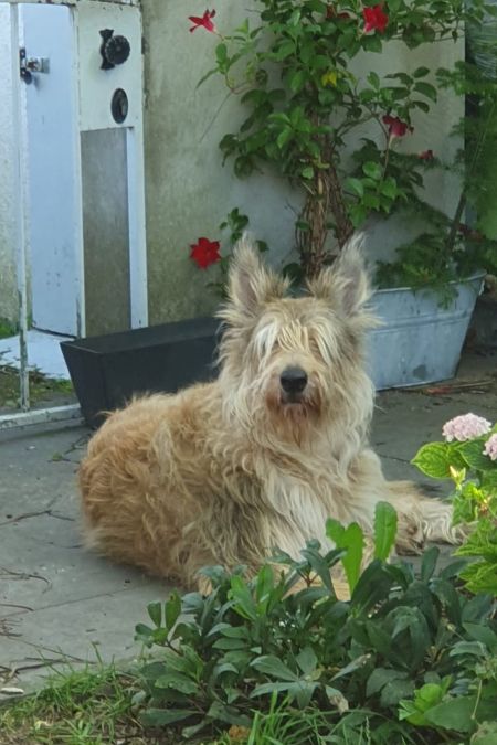 Calvin Mathis 14. Geburtstag klein