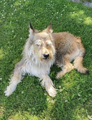 Calvin Mathis 9 Jahre klein