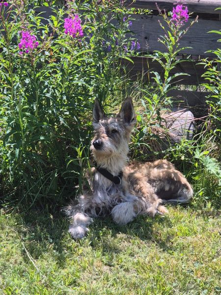 Cara 16.10.2025 klein