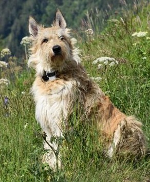 Cara 9 Jahre klein Ausschnitt