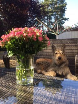 Clochard 8 Geburtstag