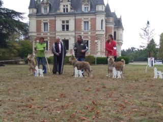 DJasper Championklasse NE 2019