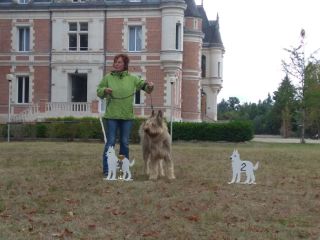 DJasper Meillour Champion 2019