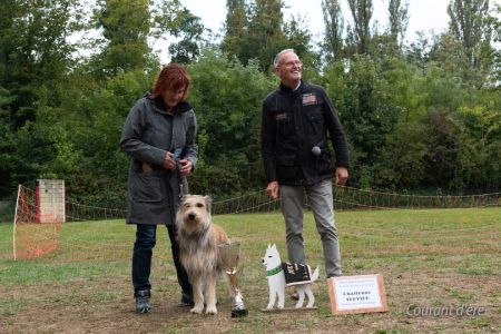Damparis bester im Ausland geborener Hund 2022