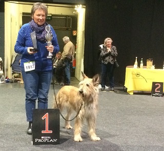 Diva du quartier musical klein1