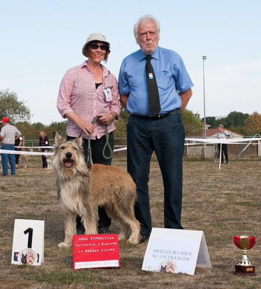 Domerat Calvin Mathis besterAusland