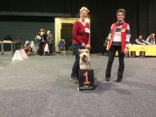 Henriette DARANIS ETOILES FILANTES klein