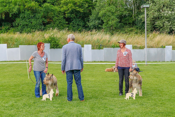 Picard Spezial 2018 Djasper und Mathis Stechen bester Ruede